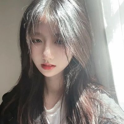 纽约爱音鳄